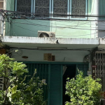 For Sale Bangkok Shophouse Sukhumvit BTS Phra Khanong Watthana BRE20519