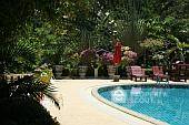 Spacious 1-BR Serviced Apt.