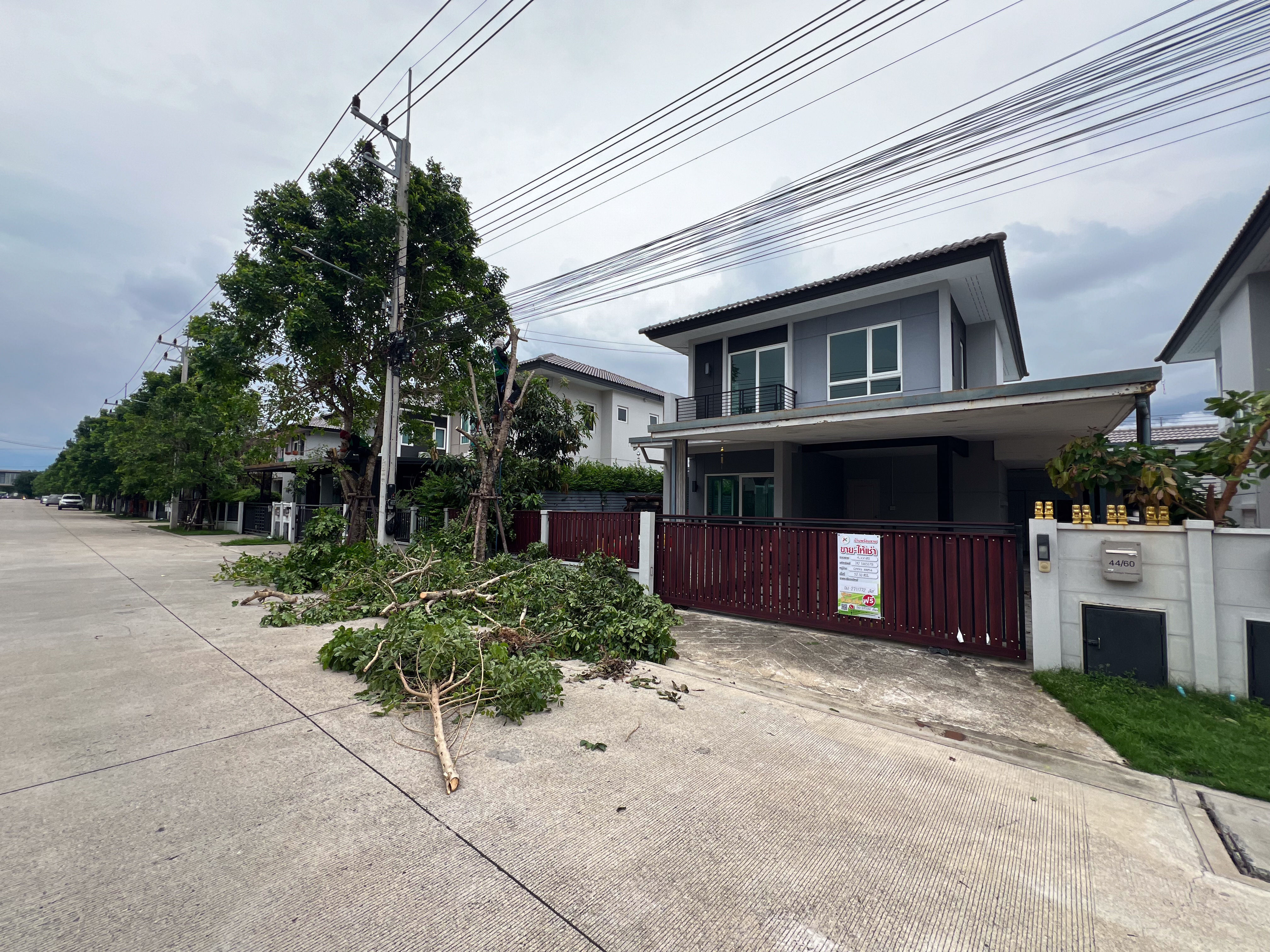 บ้านเดี่ยว : เซนโทร รังสิต คลอง 4-วงแหวน