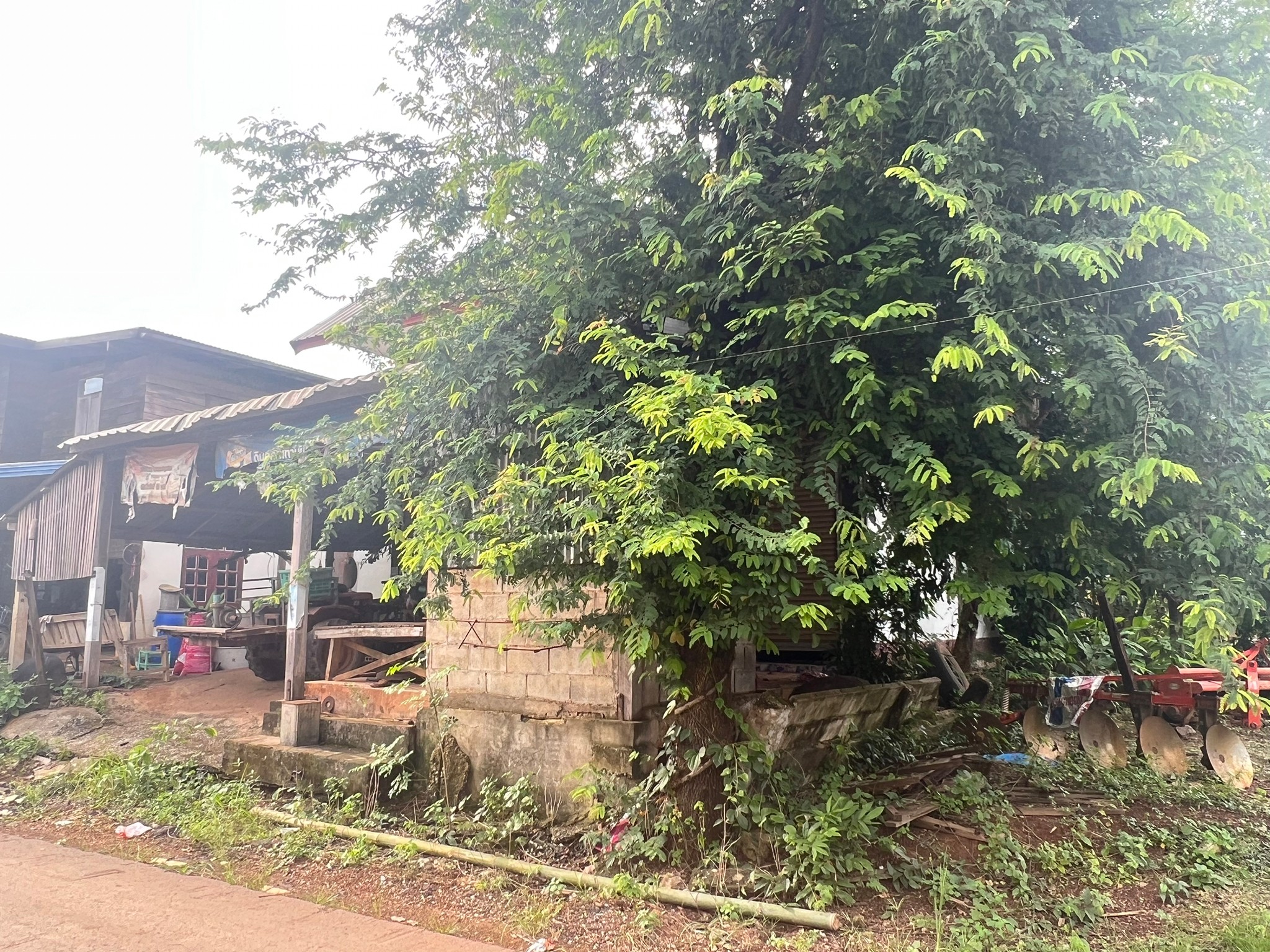 บ้านเดี่ยว : บ้านหยวก