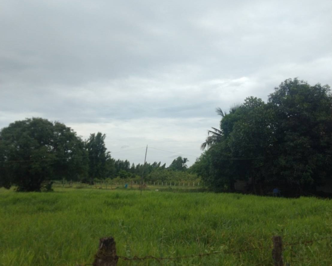 ที่ดินเปล่า : ที่ดินเปล่านครพนม