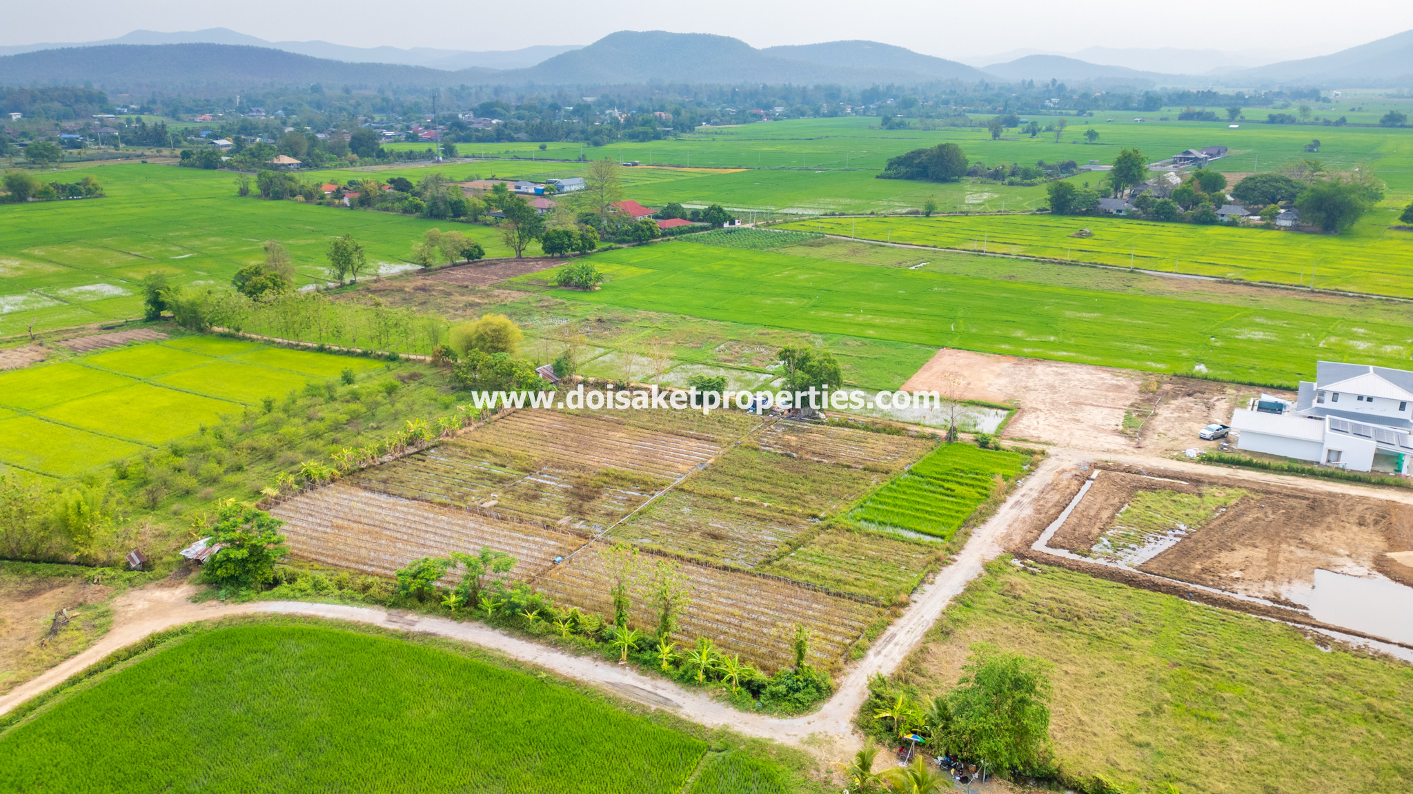 ขายที่ดินพร้อมวิวสวยในป่าโป่ง ดอยสะเก็ด เชียงใหม่