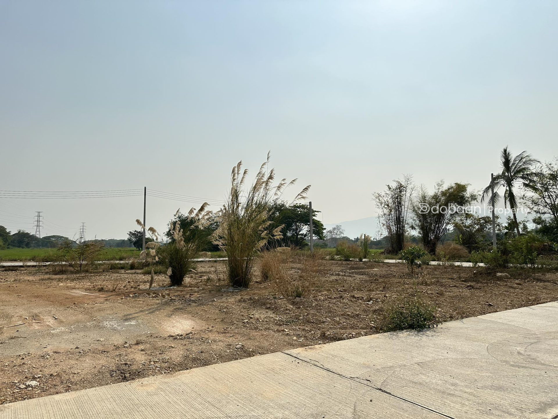 สวย 114 ตรว. wah land plot in the San Sai area, near Okajoo Shop.