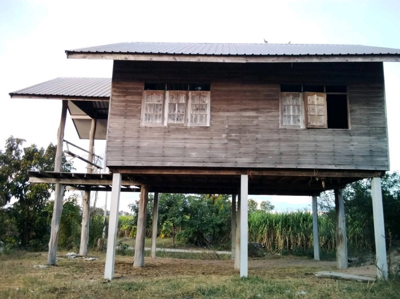 บ้านเดี่ยว : ศรีวิชัย