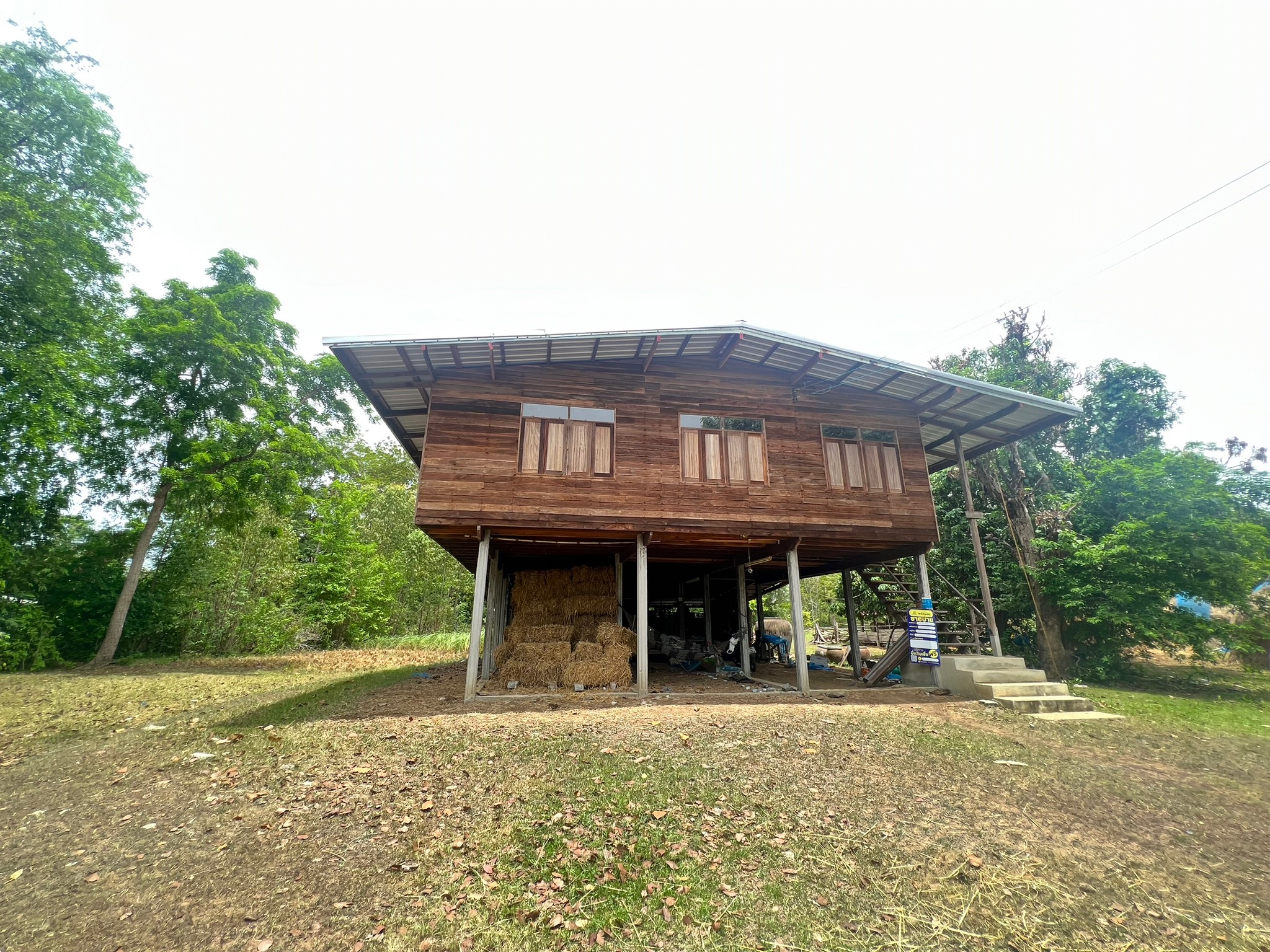 บ้านเดี่ยว : ชุมชนบ้านภูมิใหม่