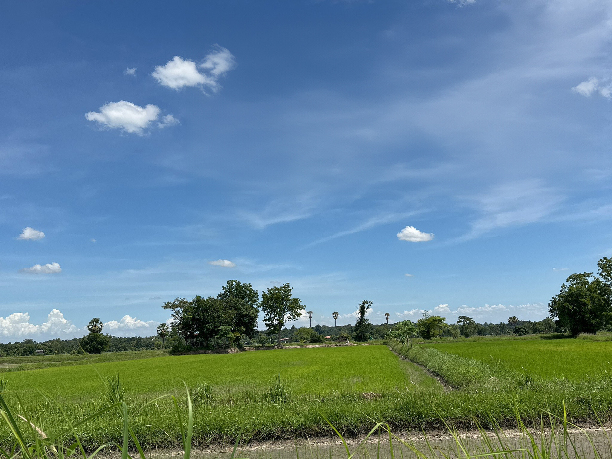 ที่ดินเปล่า : ที่ดินเปล่ากาฬสินธุ์