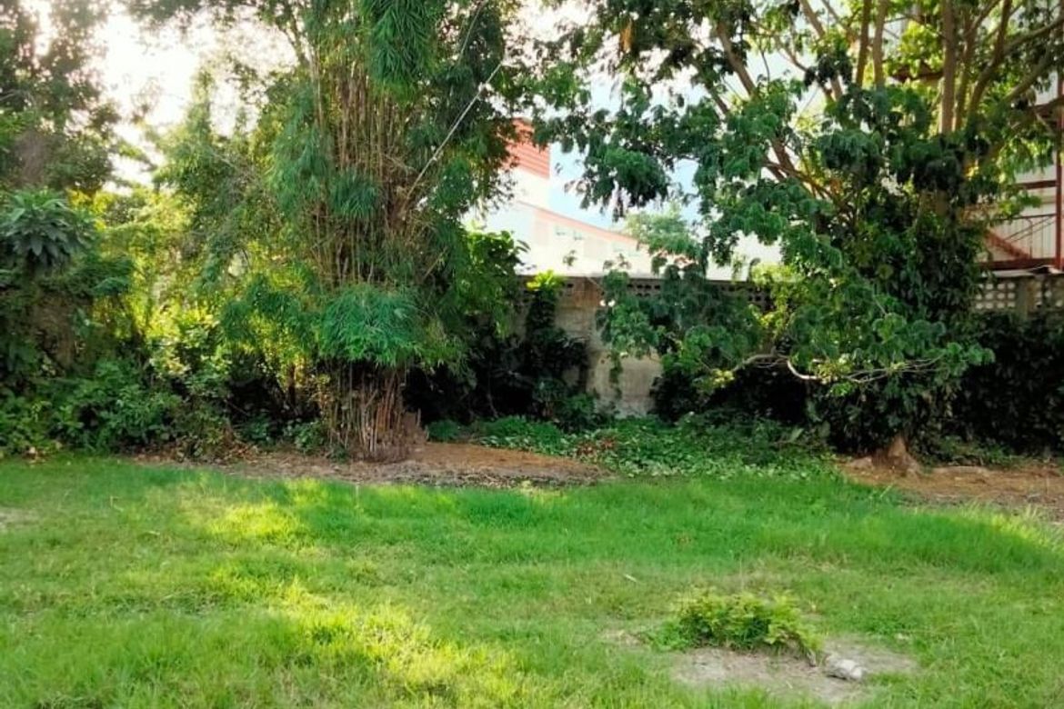 Anyone looking for a plot of land near CMU near the airport You must not miss this conversion.