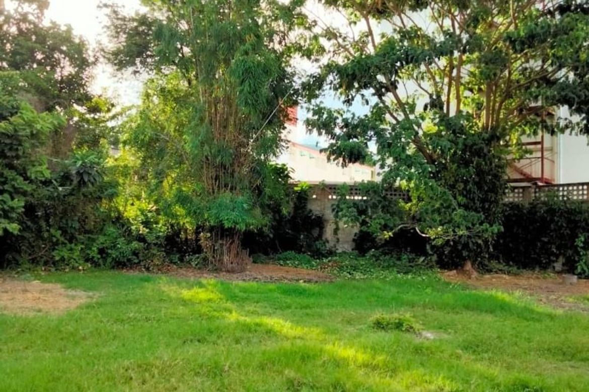 Anyone looking for a plot of land near CMU near the airport You must not miss this conversion.