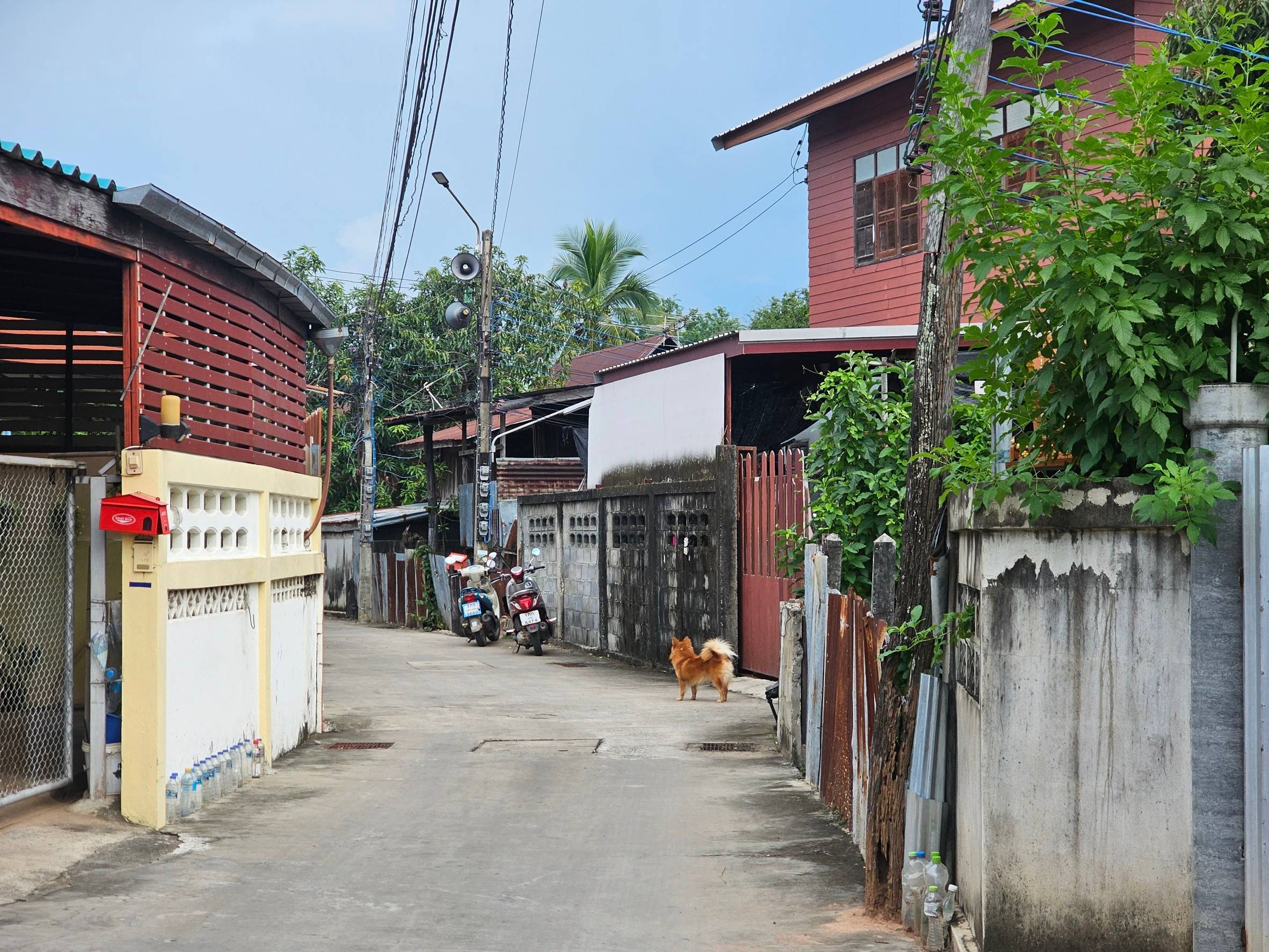 บ้านเดี่ยว : นอกโครงการนครราชสีมา