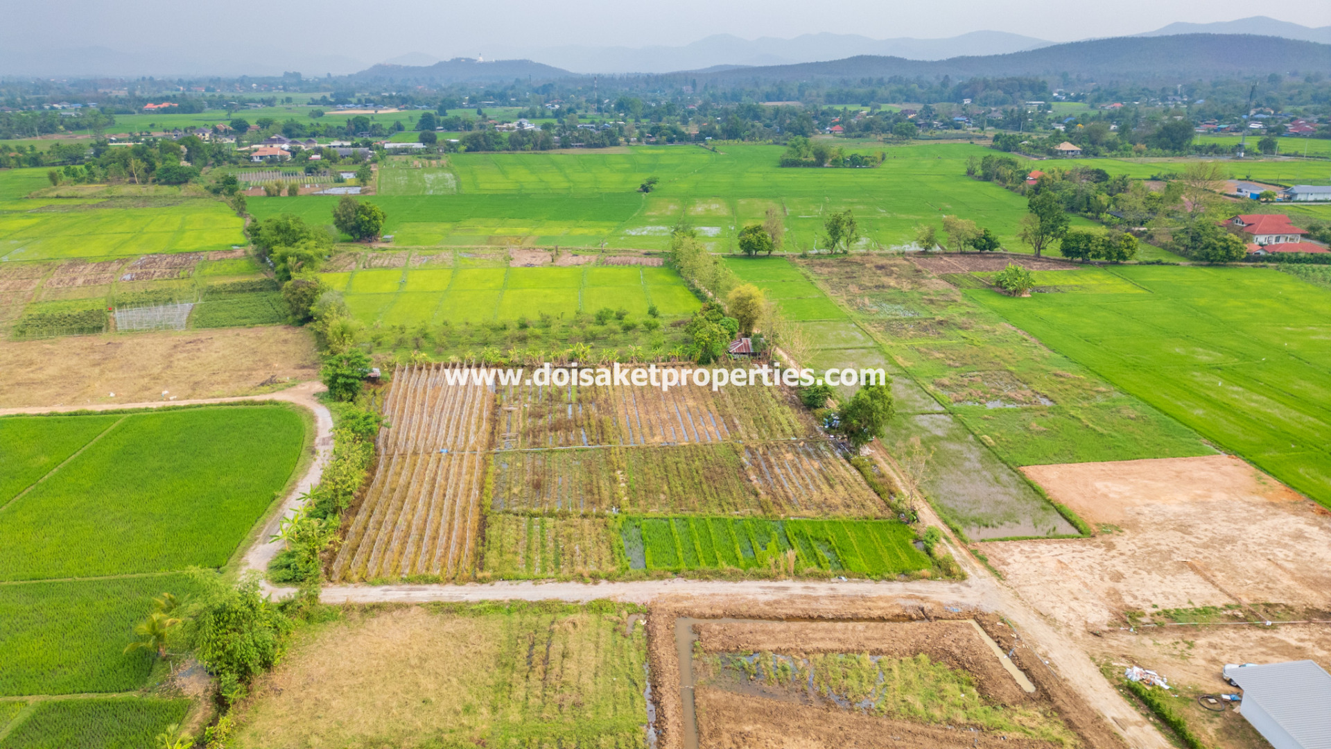 ขายที่ดินพร้อมวิวสวยในป่าโป่ง ดอยสะเก็ด เชียงใหม่