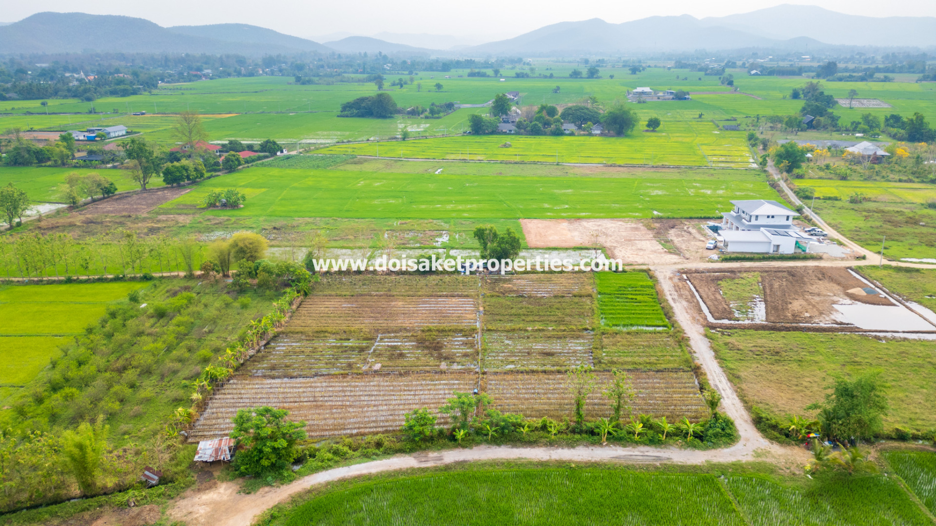 ขายที่ดินพร้อมวิวสวยในป่าโป่ง ดอยสะเก็ด เชียงใหม่