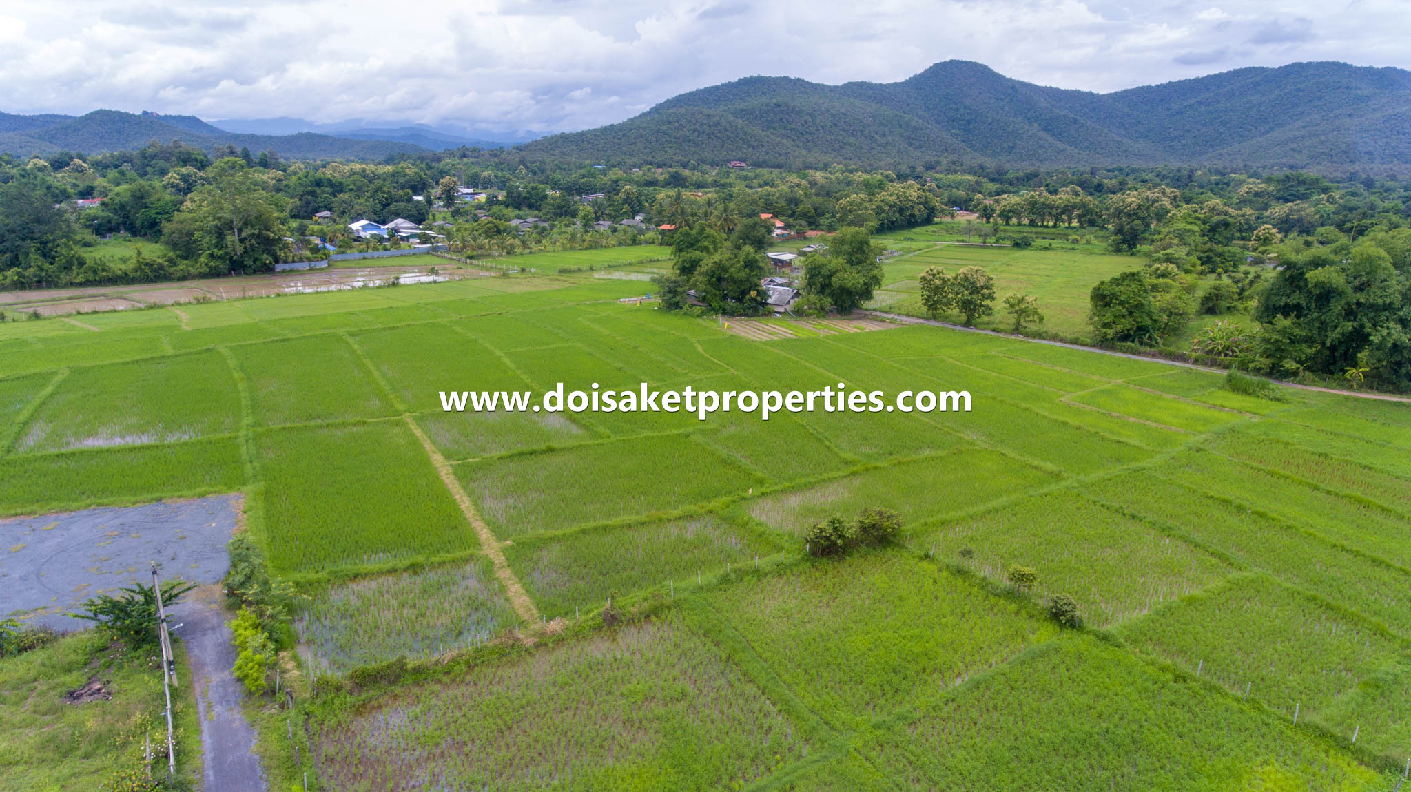 ขายที่ดิน 8 ไร่ขึ้นไปพร้อมวิวที่สวยงาม แม่โป่ง ดอยสะเก็ด เชียงใหม่