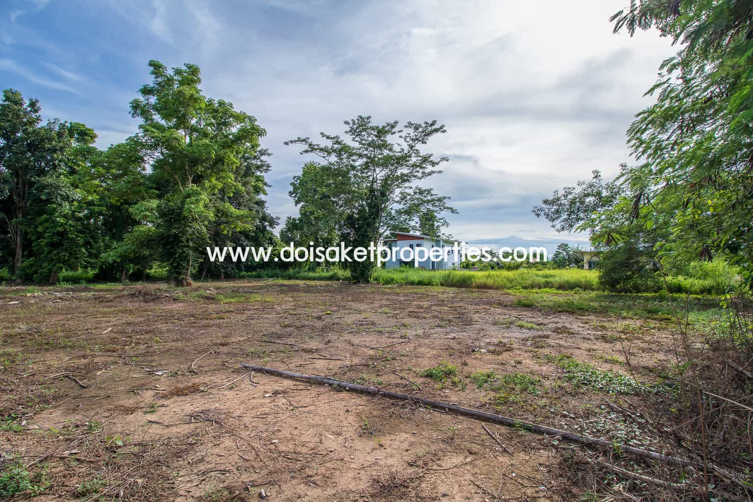 ขายที่ดินสวยพร้อมนาข้าวและวิวภูเขาในหมู่บ้านดอยสะเก็ด