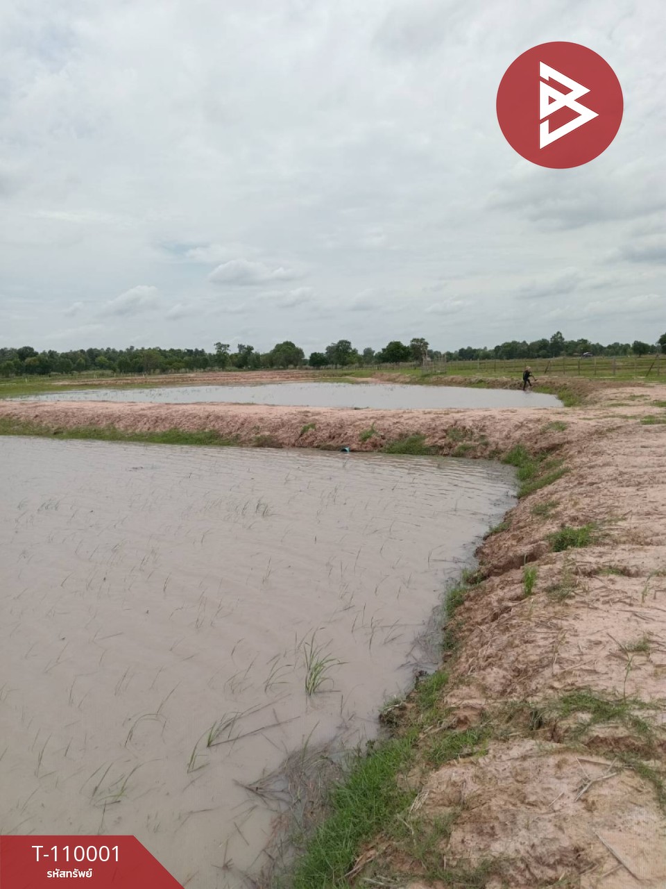 ขายที่ดิน เนื้อที่ 20 ไร่ นาเชือก มหาสารคาม