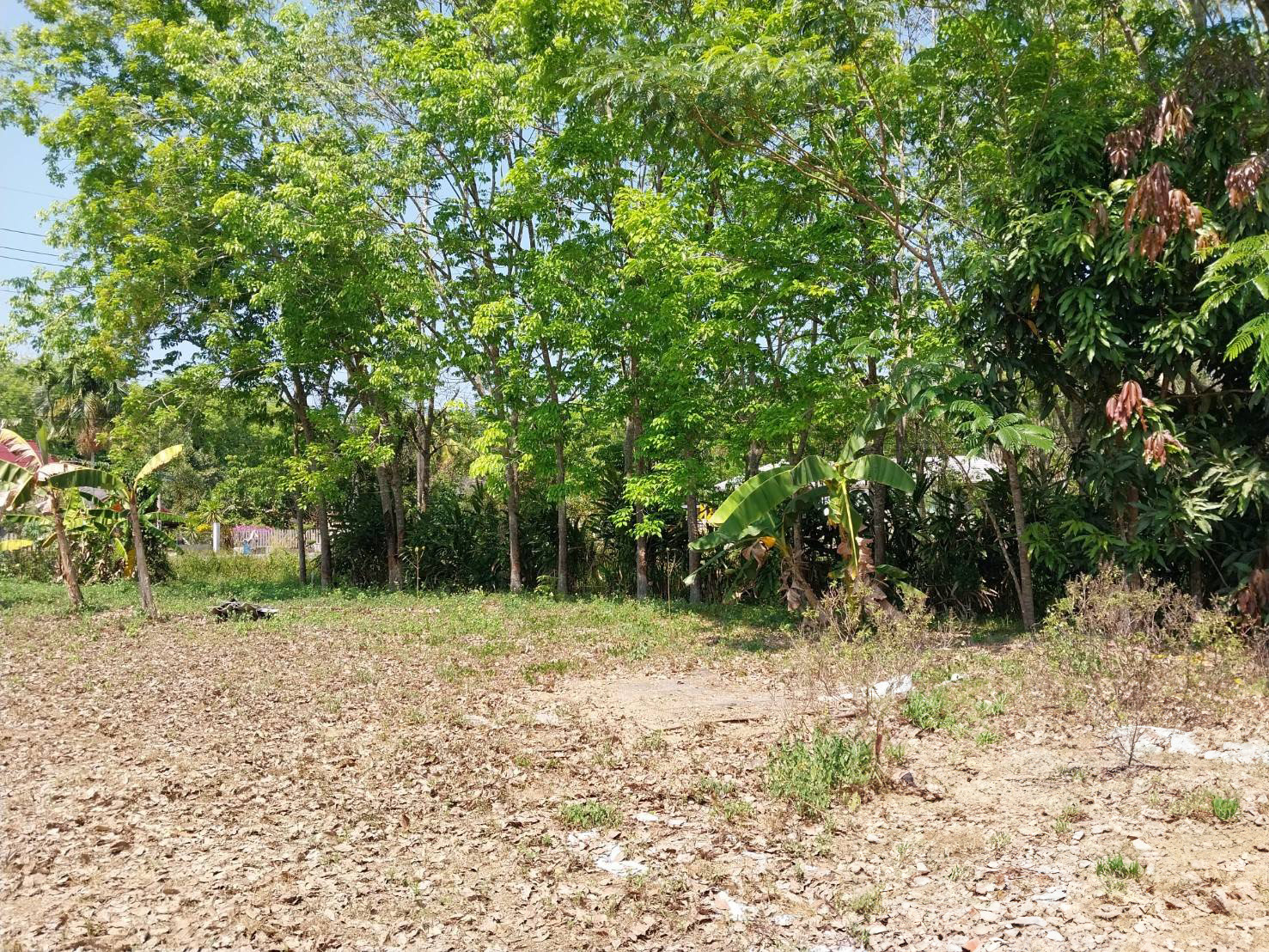 บ้านเดี่ยว : นอกโครงการสงขลา