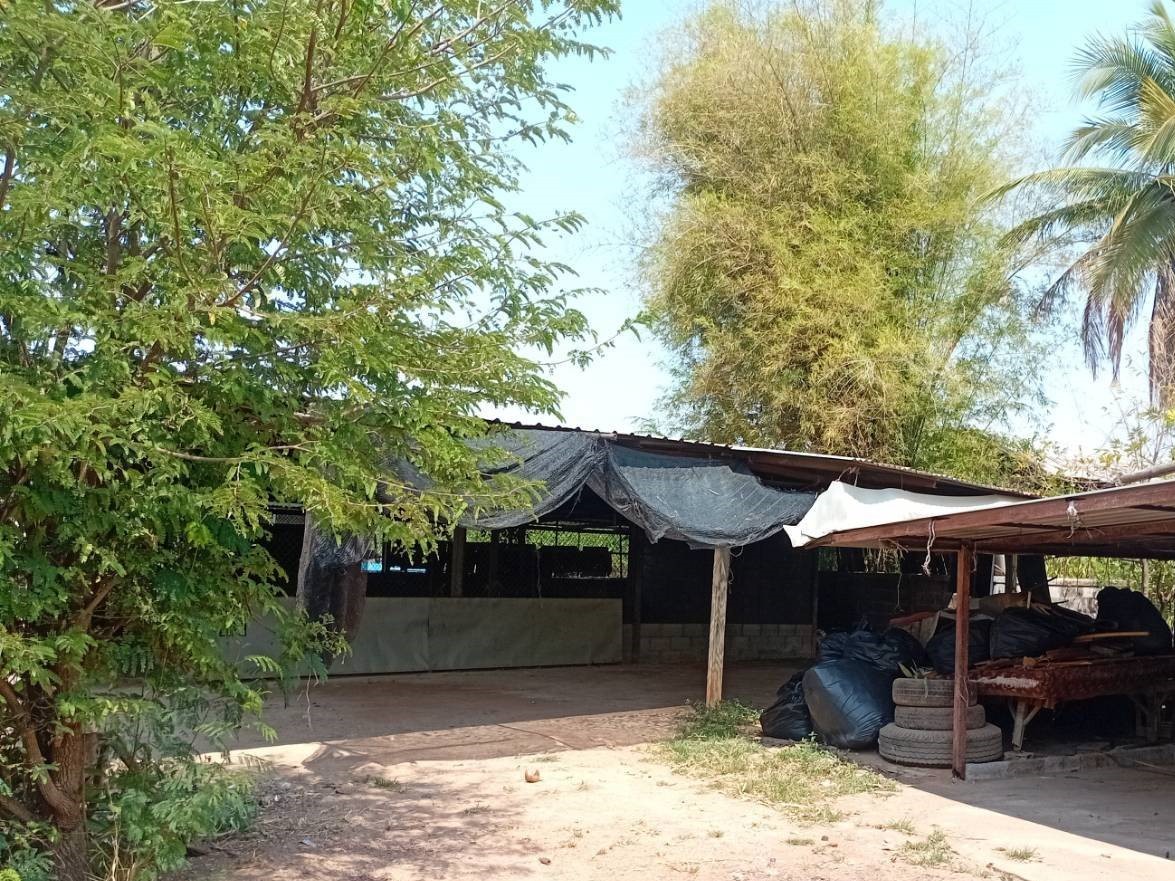 บ้านเดี่ยว : นอกโครงการขอนแก่น