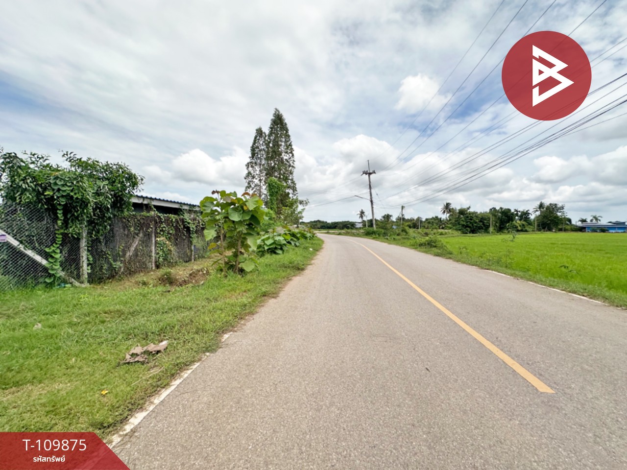 ขายที่ดิน เนื้อที่ 2 ไร่ 2 งาน 84.6 ตร.วา โพธาราม ราชบุรี