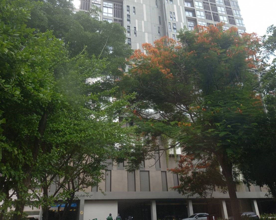 คอนโดมิเนียม : เดอะ เฮ้าส์ คอนโดมิเนียม  