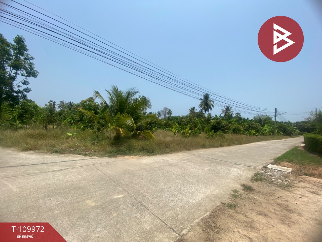 ขายที่ดิน เนื้อที่ 1 ไร่ ท่ายาง เพชรบุรี