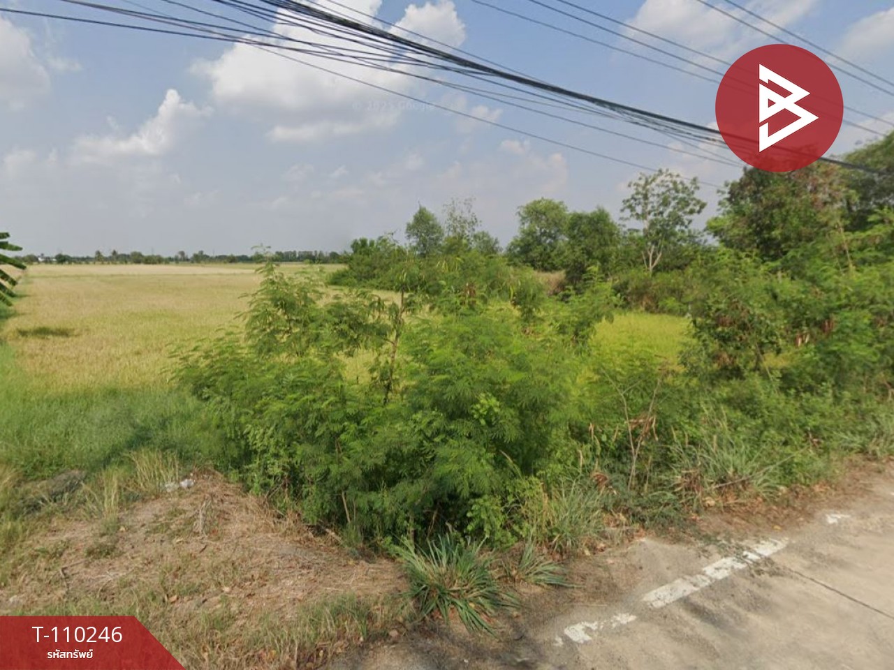 ขายที่ดิน เนื้อที่ 1 ไร่ สามโคก ปทุมธานี