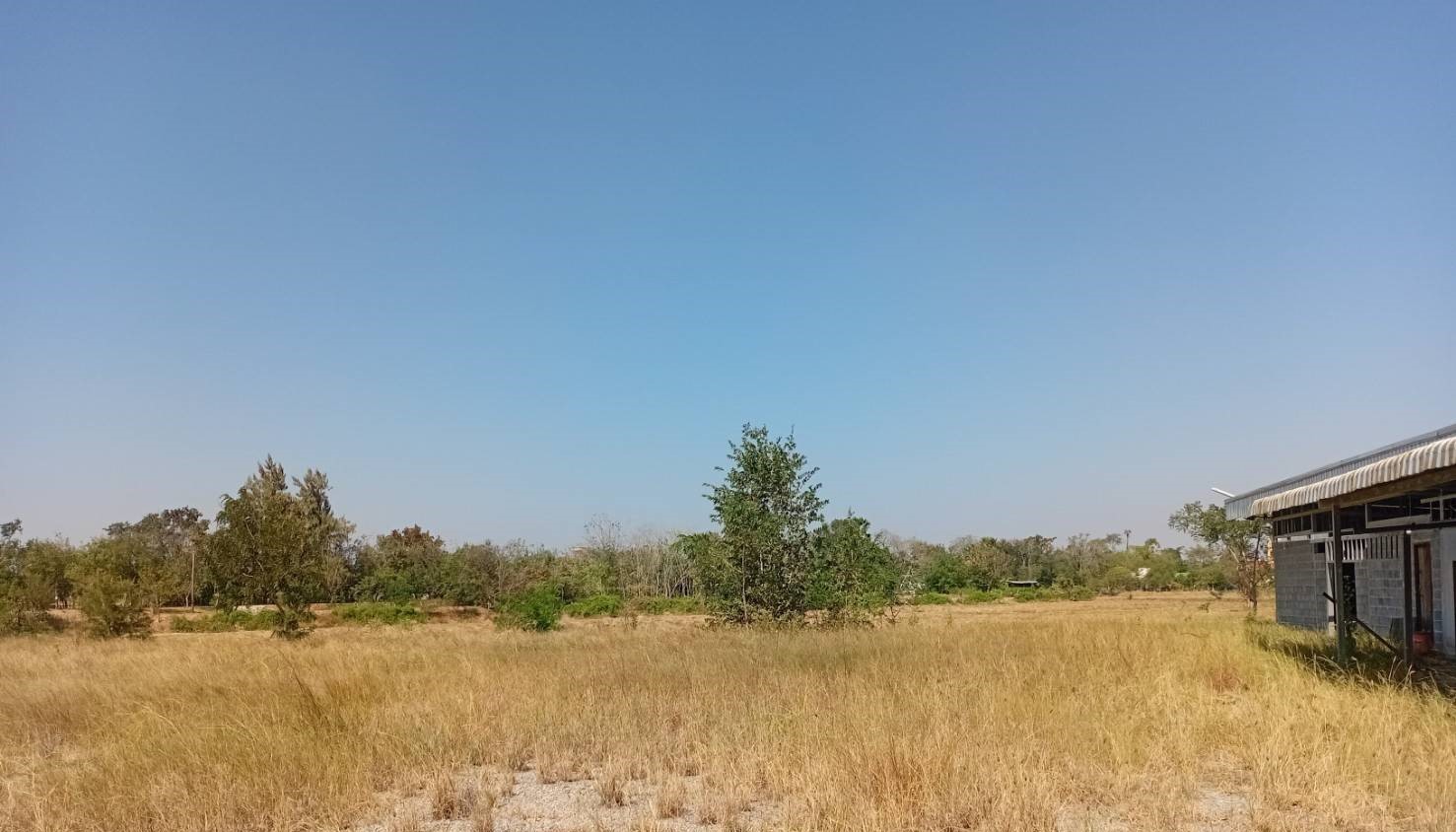 ที่ดิน : นอกโครงการนครราชสีมา