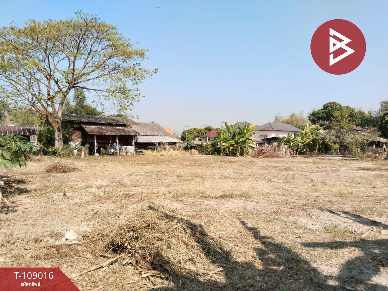 ขายที่ดินทำเลดี เนื้อที่ 2 งาน 80.6 ตร.วา พาน เชียงราย