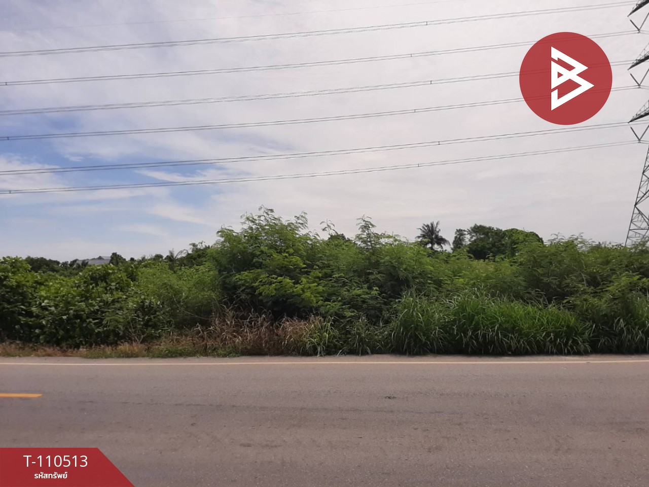 ขายที่ดิน เนื้อที่ 3 งาน 25 ตร.วา ไทรน้อย นนทบุรี