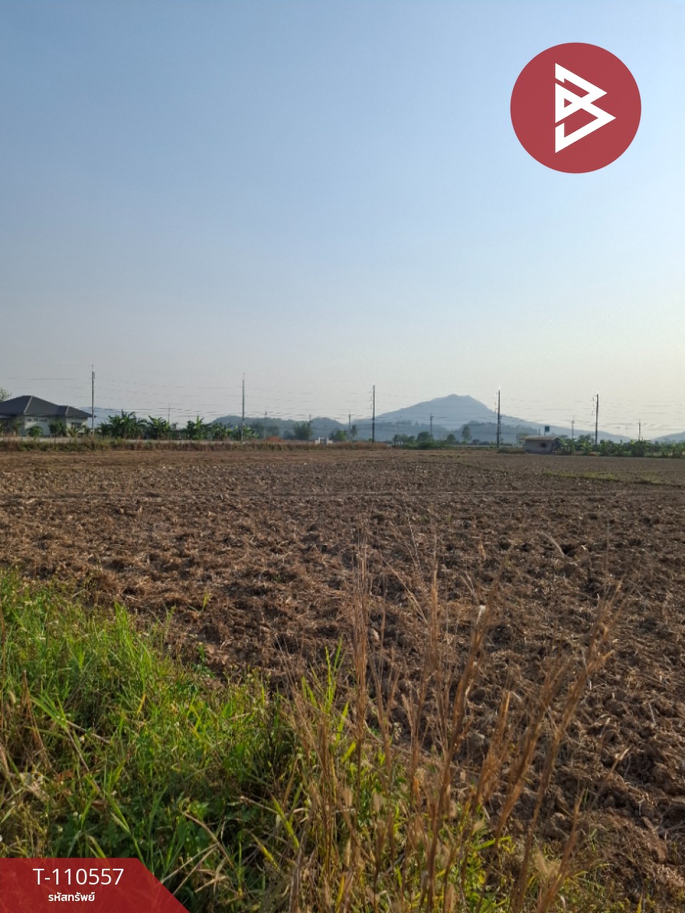 ขายที่ดิน เนื้อที่ 3 ไร่ 3 งาน 73 ตร.วา เทิง เชียงราย