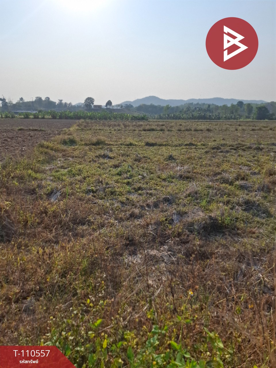 ขายที่ดิน เนื้อที่ 3 ไร่ 3 งาน 73 ตร.วา เทิง เชียงราย
