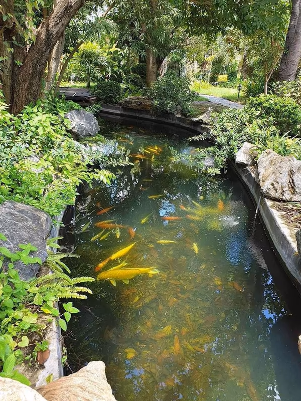 Luxurious Mansion in Suthep