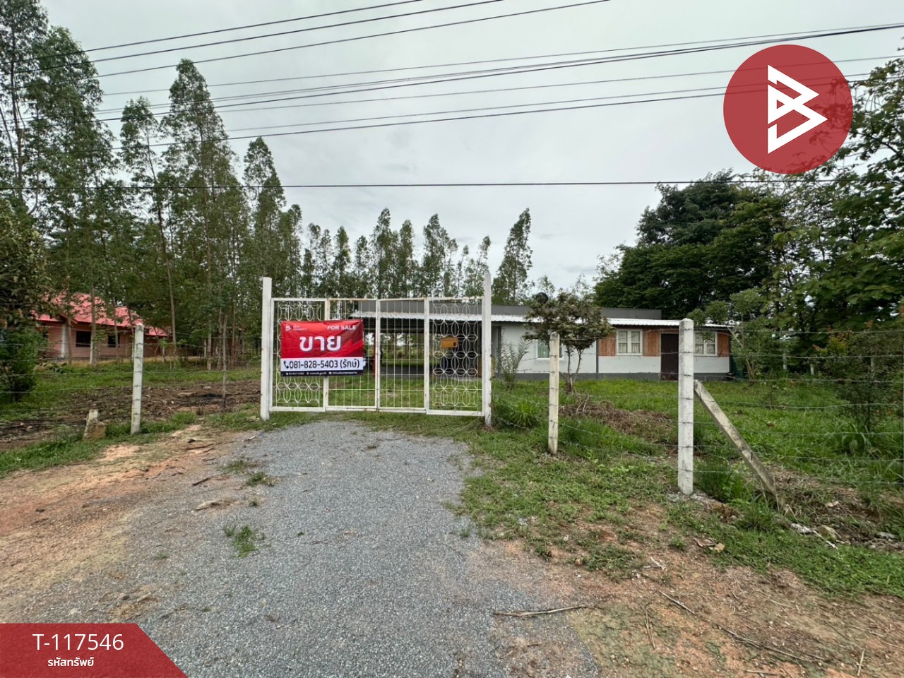 ขายบ้านเดี่ยวพร้อมที่ดิน เนื้อที่ 1 ไร่ 1 งาน 81 ตร.วา ห้วยกระเจา กาญจนบุรี