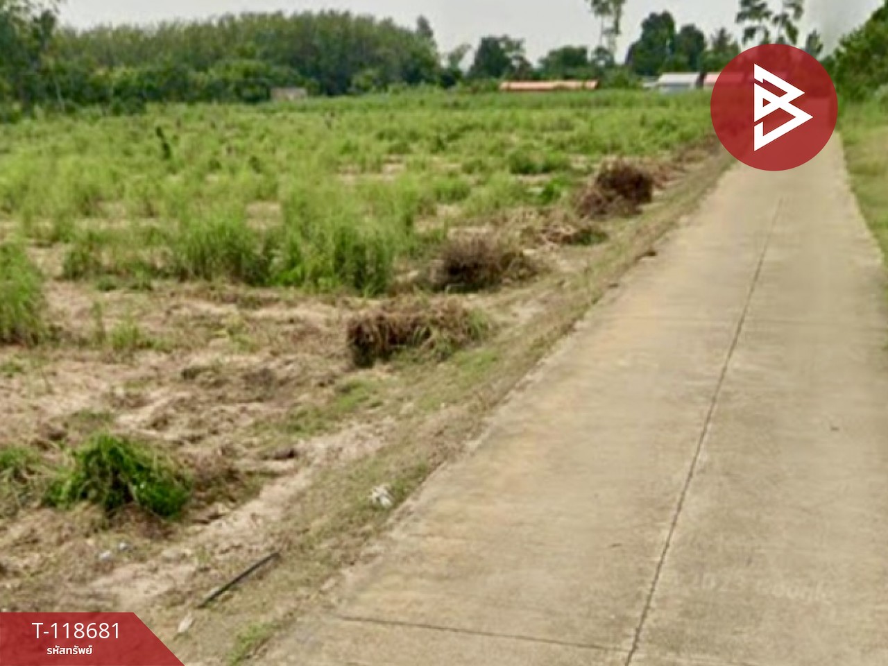 ขายที่ดิน เนื้อที่ 1 ไร่ แปลงยาว ฉะเชิงเทรา