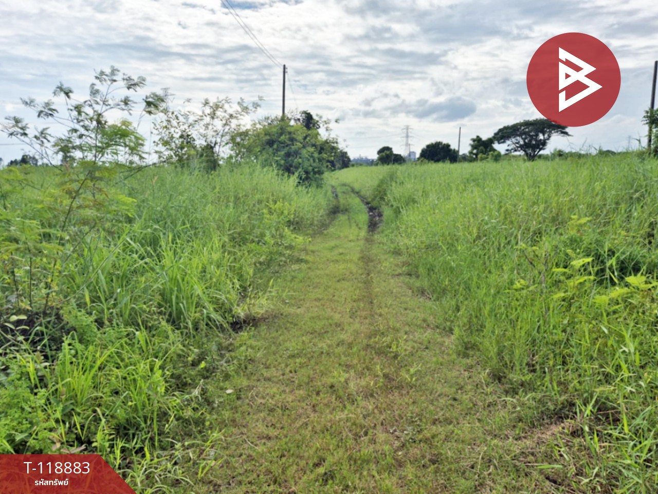 ขายที่ดิน เนื้อที่ 67 ตร.วา สมอแข พิษณุโลก