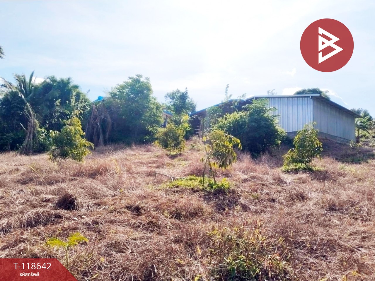 ขายที่ดิน เนื้อที่ 3 ไร่ โป่งน้ำร้อน จันทบุรี วิวทิวเขา