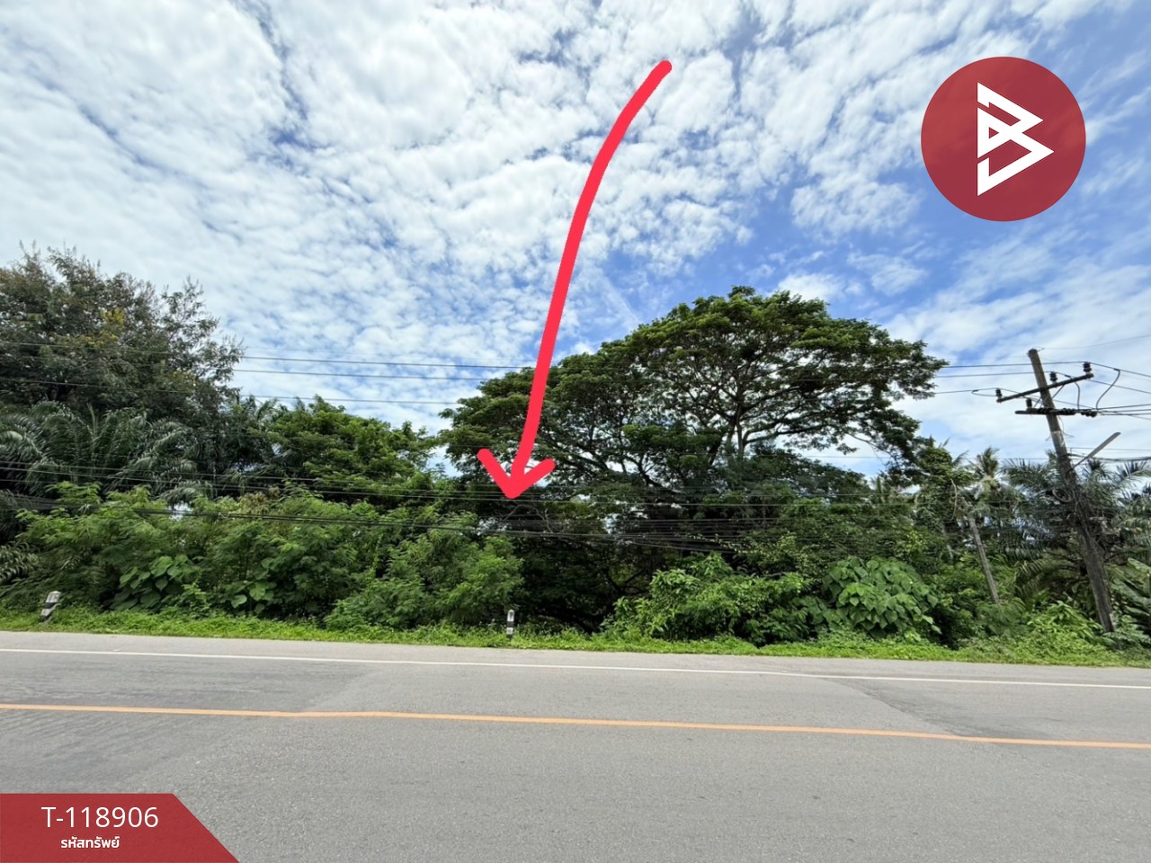 ขายที่ดิน เนื้อที่ 2 งาน 74 ตร.วา ท่าชนะ สุราษฎร์ธานี
