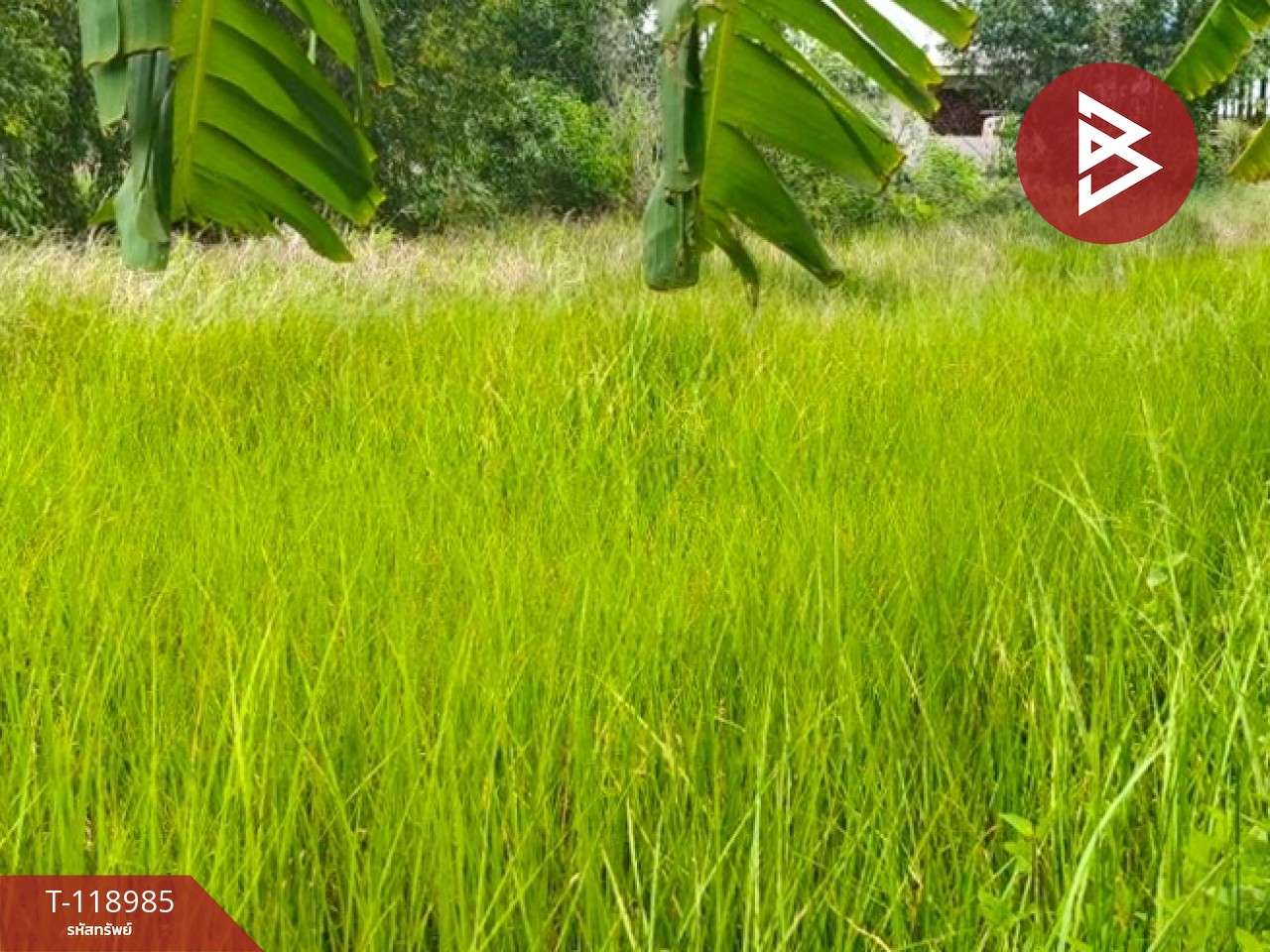 ขายที่ดินจัดสรรแปลงสวย เนื้อที่ 2 ไร่ องครักษ์ นครนายก ทำเลดี