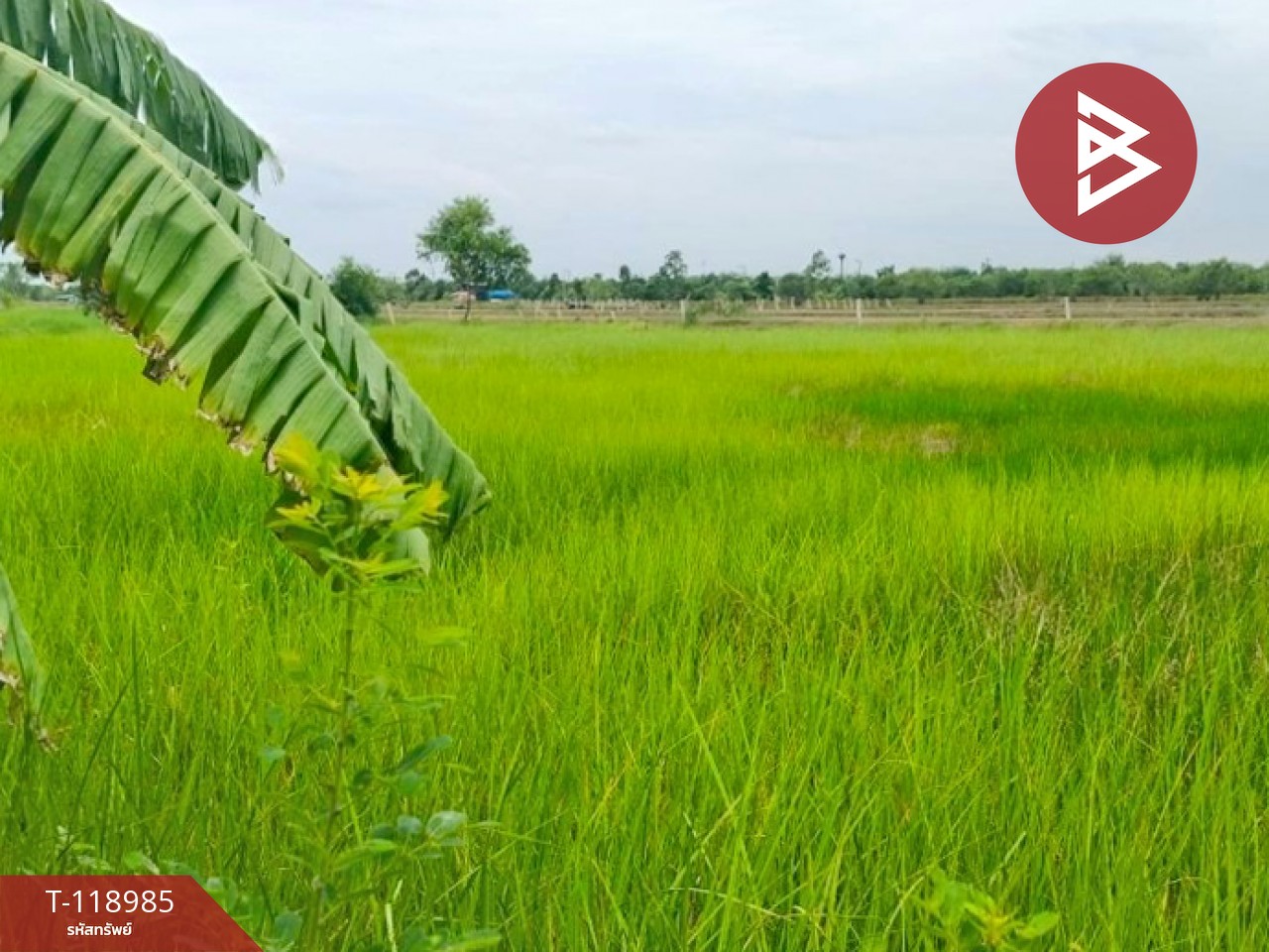 ขายที่ดินจัดสรรแปลงสวย เนื้อที่ 2 ไร่ องครักษ์ นครนายก ทำเลดี