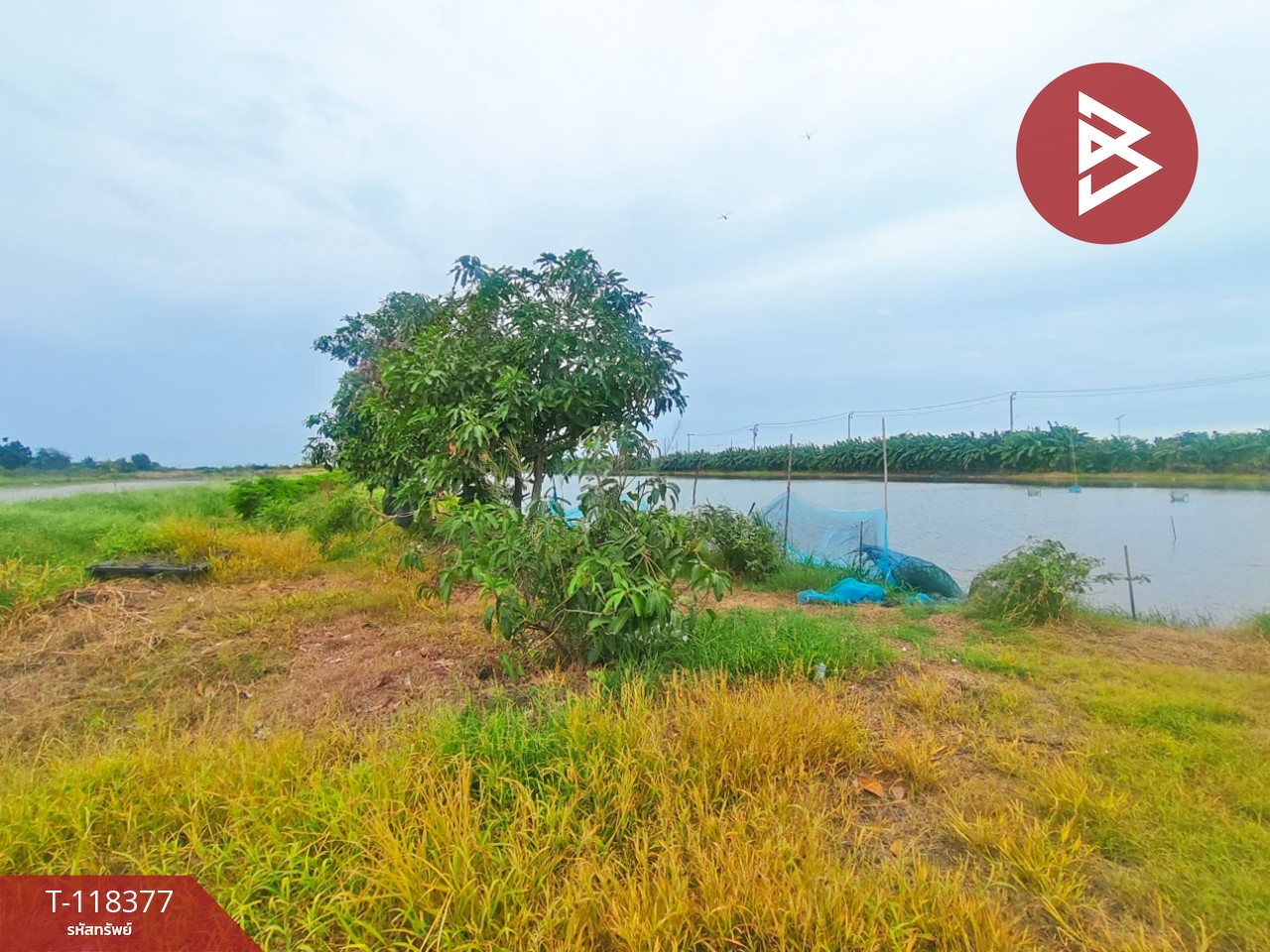 ขายที่ดิน เนื้อที่ 6 ไร่ 2 งาน 53 ตร.วา บางเสาธง สมุทรปราการ