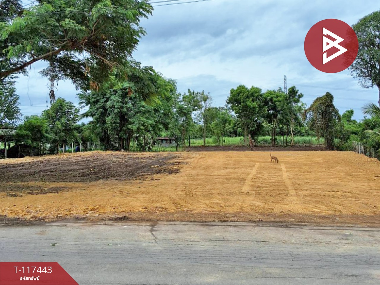 ขายที่ดิน เนื้อที่ 3 ไร่ จอมบึง ราชบุรี