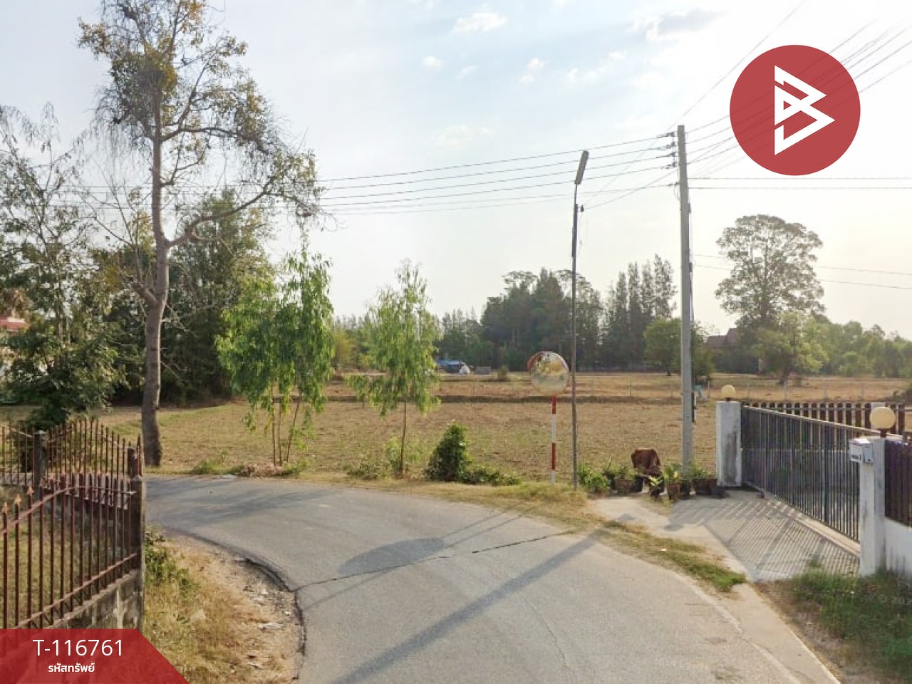ขายที่ดิน เนื้อที่ 3 งาน 97.6 ตร.วา ดงลาน ร้อยเอ็ด