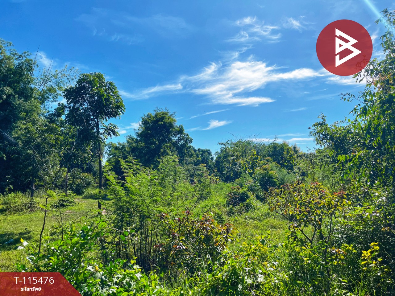 ขายที่ดิน เนื้อที่ 1 ไร่ 2 งาน 59.4 ตร.วา ต.ดงขวาง อ.หนองขาหย่าง จ.อุทัยธานี ติดถนน