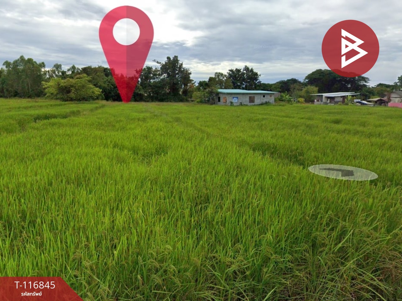 ขายที่ดิน เนื้อที่ 4 ไร่ 3 งาน 15 ตร.วา ในเมือง หนองคาย