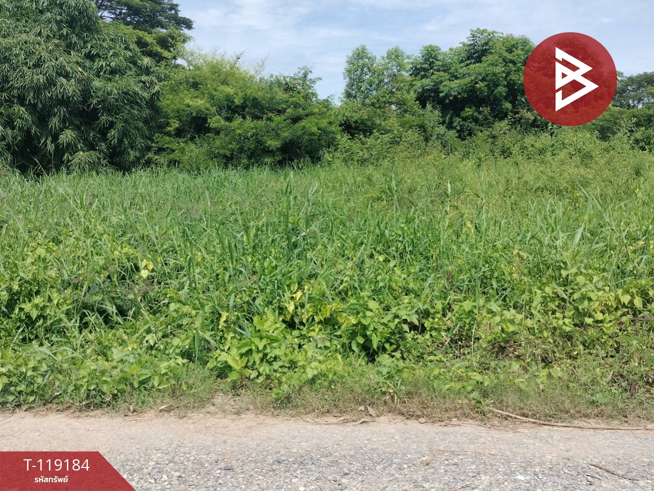 ขายที่ดิน เนื้อที่ 47.7 ตร.วา อรัญญิก พิษณุโลก