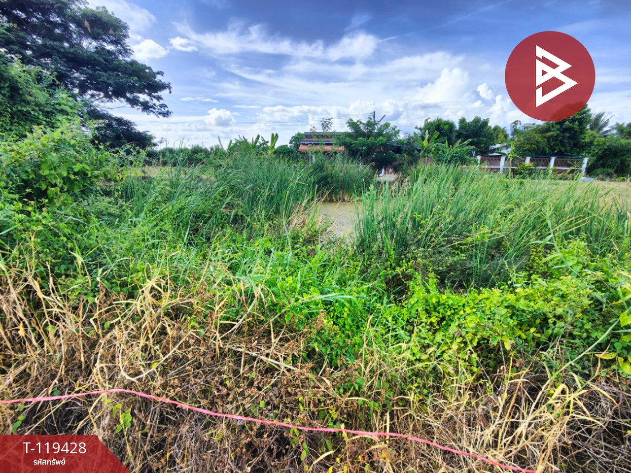 ขายที่ดิน เนื้อที่ 2 งาน สามพราน นครปฐม