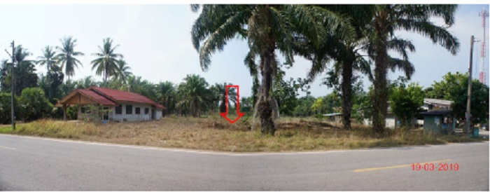 KTB : ที่ดิน ตำบลตลิ่งชัน กระบี่ 61SS010101622