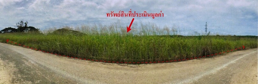 KTB : ที่ดิน ตำบลเขาไม้แก้ว ชลบุรี 49EE020100101
