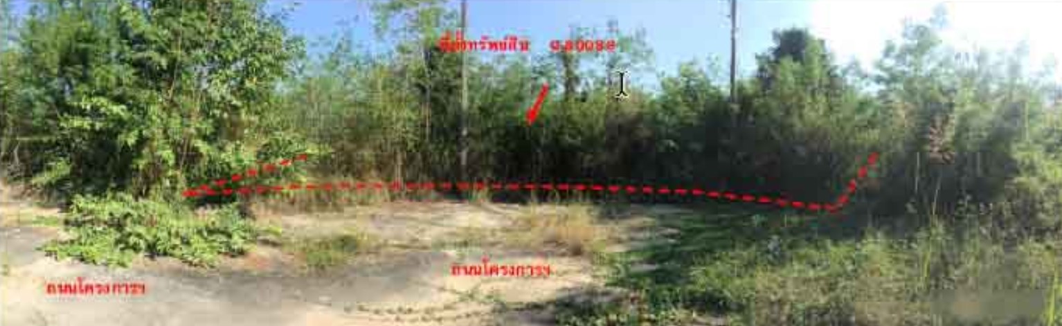 KTB : ที่ดิน ตำบลมะเขือแจ้ ลำพูน 56NN010100375