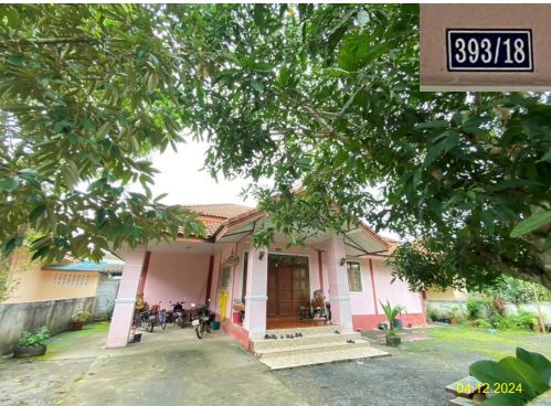 KTB : ที่ดินพร้อมสิ่งปลูกสร้าง ตำบลหลักช้าง นครศรีธรรมราช 66SS010300435