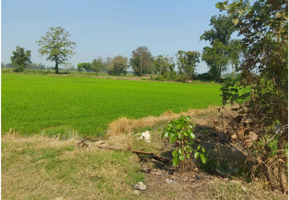 KTB : ที่ดิน ตำบลนาทุ่ง สุโขทัย 67NN010100177