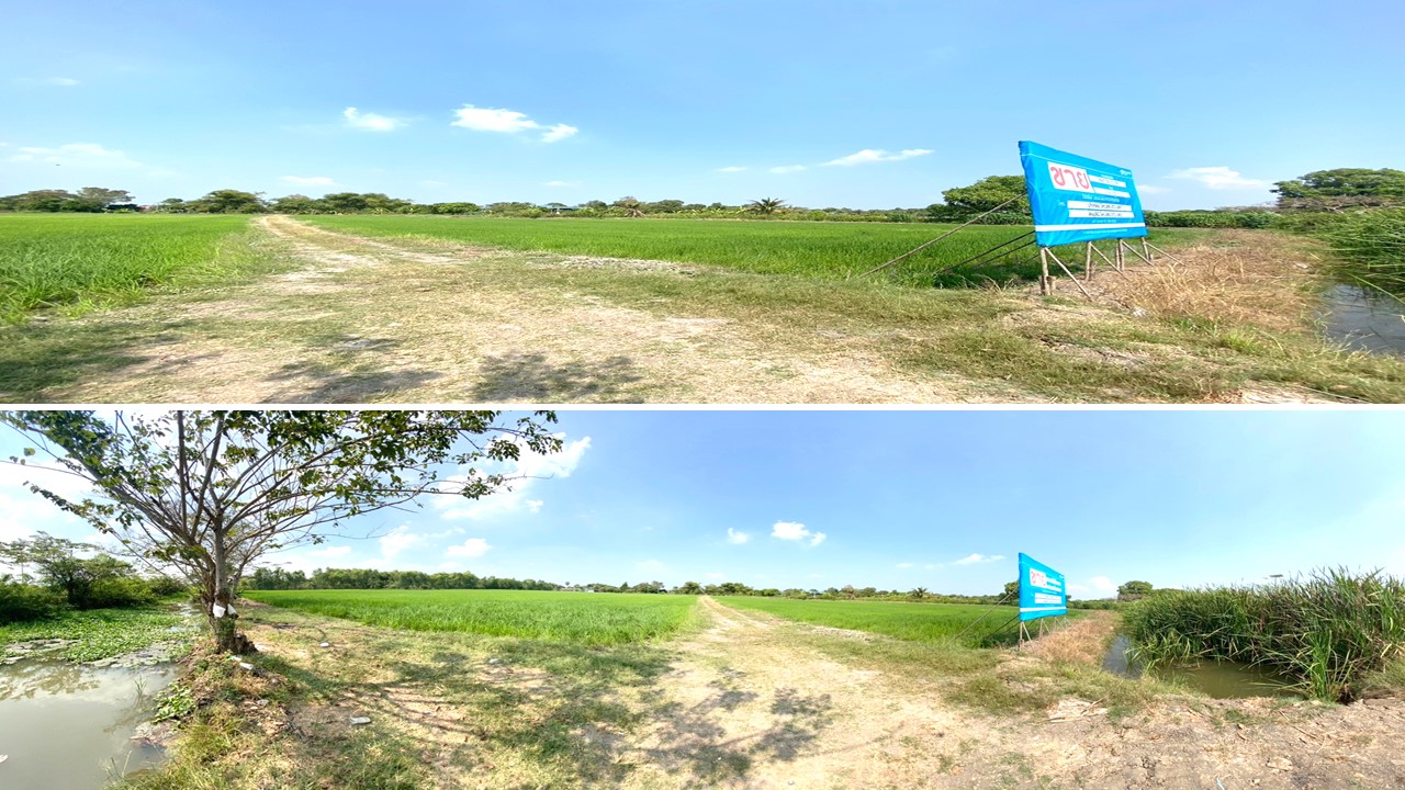 KTB : ที่ดิน ตำบลพืชอุดม ปทุมธานี 59MT030101709